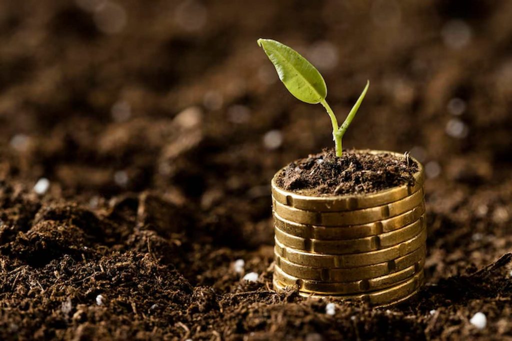 A small green plant sprouts from a stack of gold coins embedded in soil, symbolizing growth and the long-term potential of microinvestments in building wealth from small contributions.